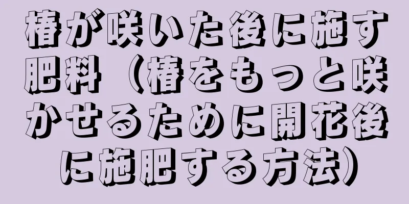 椿が咲いた後に施す肥料（椿をもっと咲かせるために開花後に施肥する方法）