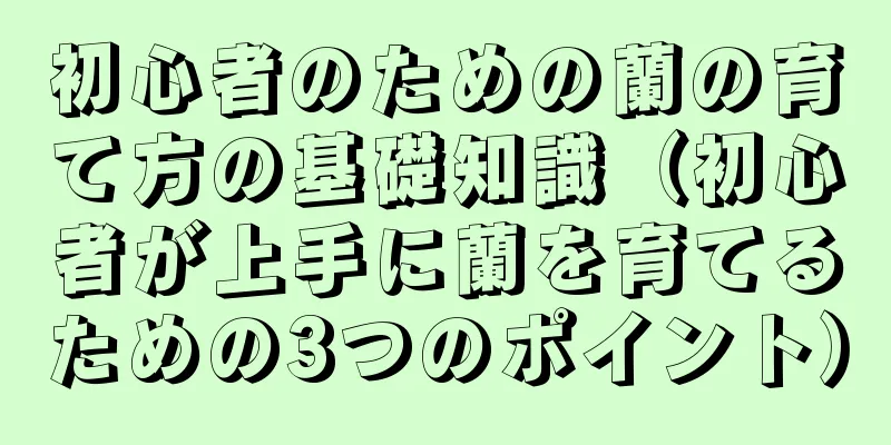 初心者のための蘭の育て方の基礎知識（初心者が上手に蘭を育てるための3つのポイント）