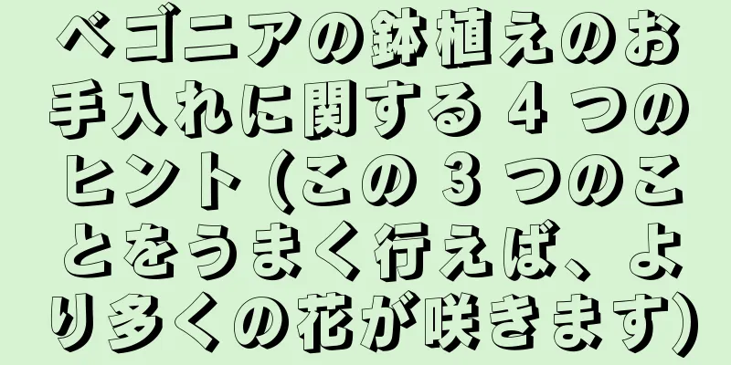 ベゴニアの鉢植えのお手入れに関する 4 つのヒント (この 3 つのことをうまく行えば、より多くの花が咲きます)