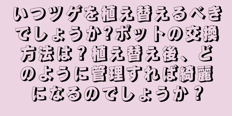いつツゲを植え替えるべきでしょうか?ポットの交換方法は？植え替え後、どのように管理すれば綺麗になるのでしょうか？