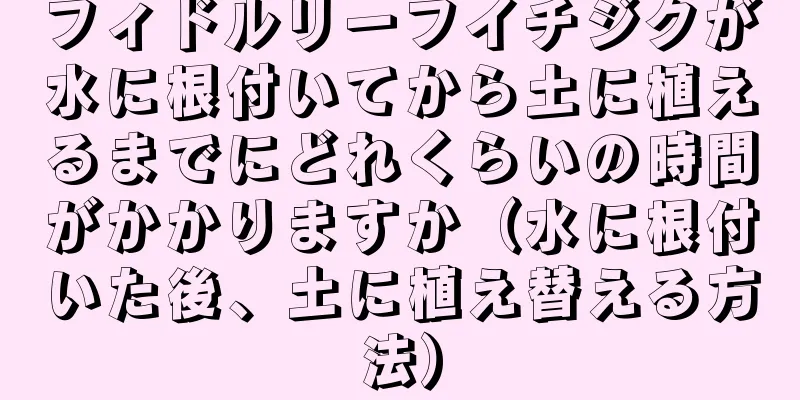 フィドルリーフイチジクが水に根付いてから土に植えるまでにどれくらいの時間がかかりますか（水に根付いた後、土に植え替える方法）