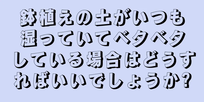 鉢植えの土がいつも湿っていてベタベタしている場合はどうすればいいでしょうか?