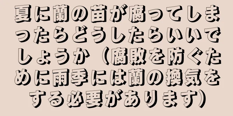夏に蘭の苗が腐ってしまったらどうしたらいいでしょうか（腐敗を防ぐために雨季には蘭の換気をする必要があります）