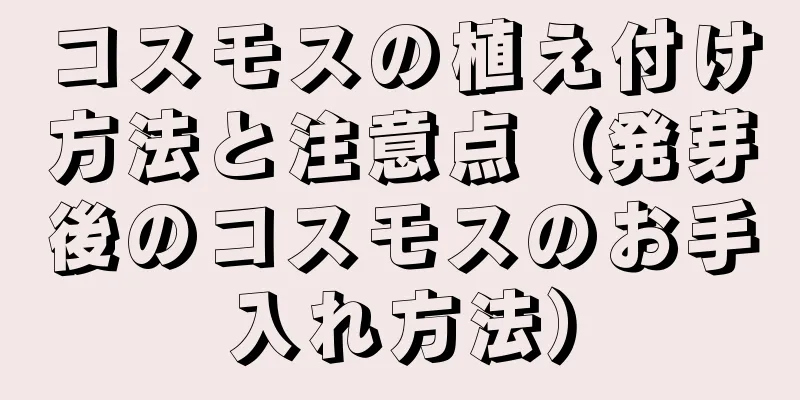 コスモスの植え付け方法と注意点（発芽後のコスモスのお手入れ方法）