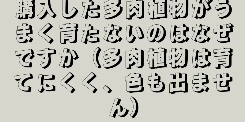 購入した多肉植物がうまく育たないのはなぜですか（多肉植物は育てにくく、色も出ません）