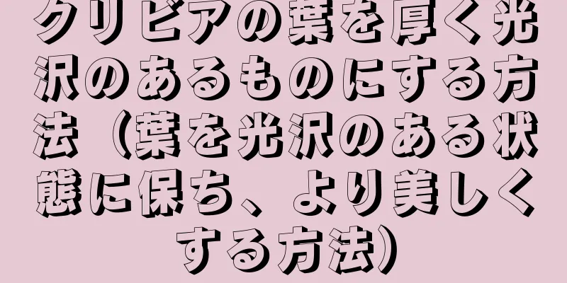 クリビアの葉を厚く光沢のあるものにする方法（葉を光沢のある状態に保ち、より美しくする方法）