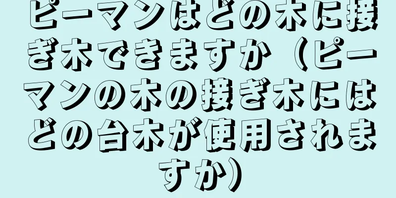 ピーマンはどの木に接ぎ木できますか（ピーマンの木の接ぎ木にはどの台木が使用されますか）