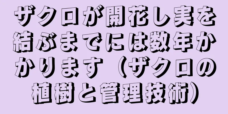 ザクロが開花し実を結ぶまでには数年かかります（ザクロの植樹と管理技術）