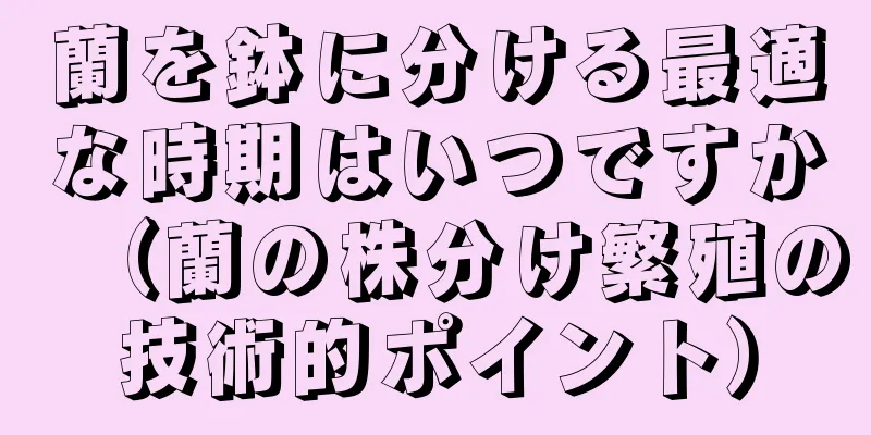 蘭を鉢に分ける最適な時期はいつですか（蘭の株分け繁殖の技術的ポイント）