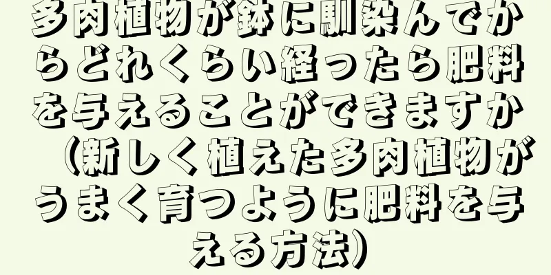 多肉植物が鉢に馴染んでからどれくらい経ったら肥料を与えることができますか（新しく植えた多肉植物がうまく育つように肥料を与える方法）