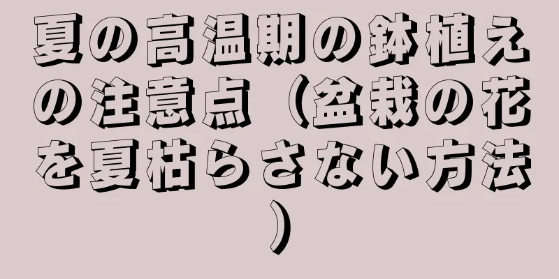 夏の高温期の鉢植えの注意点（盆栽の花を夏枯らさない方法）