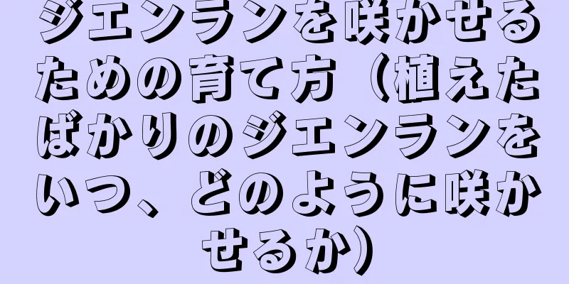 ジエンランを咲かせるための育て方（植えたばかりのジエンランをいつ、どのように咲かせるか）