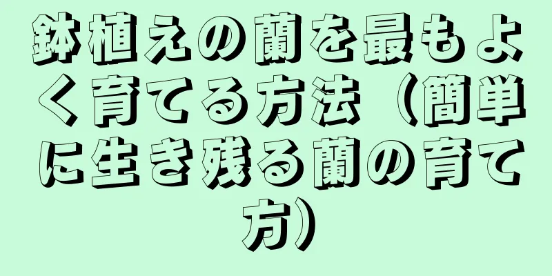鉢植えの蘭を最もよく育てる方法（簡単に生き残る蘭の育て方）
