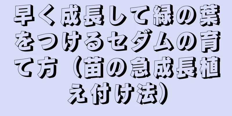 早く成長して緑の葉をつけるセダムの育て方（苗の急成長植え付け法）