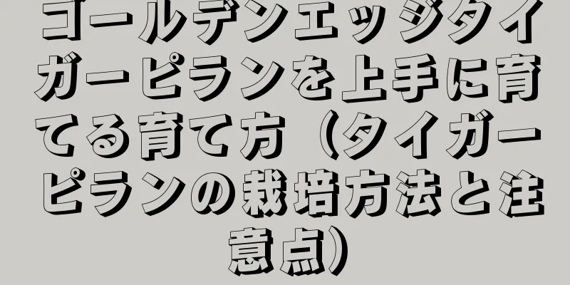 ゴールデンエッジタイガーピランを上手に育てる育て方（タイガーピランの栽培方法と注意点）