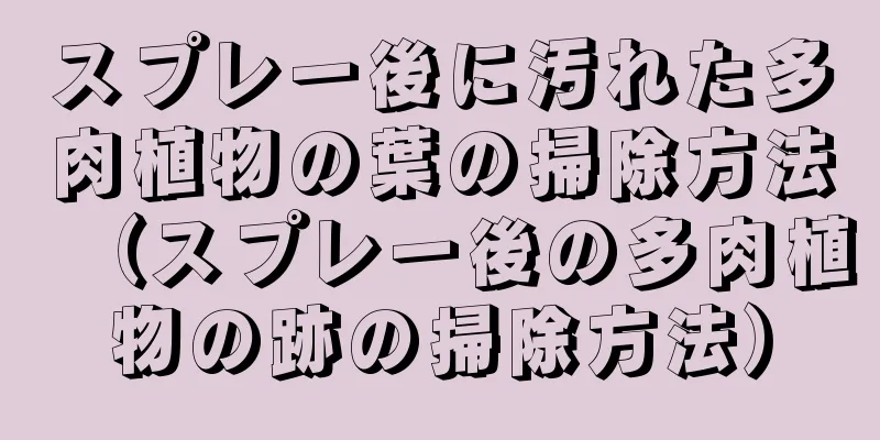 スプレー後に汚れた多肉植物の葉の掃除方法（スプレー後の多肉植物の跡の掃除方法）