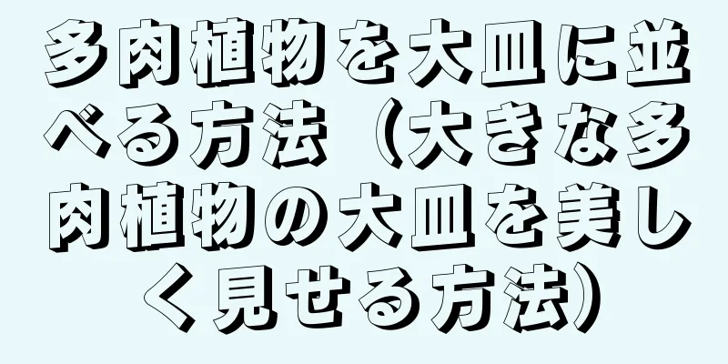 多肉植物を大皿に並べる方法（大きな多肉植物の大皿を美しく見せる方法）