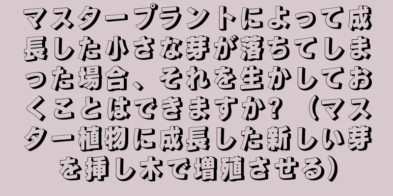 マスタープラントによって成長した小さな芽が落ちてしまった場合、それを生かしておくことはできますか? （マスター植物に成長した新しい芽を挿し木で増殖させる）