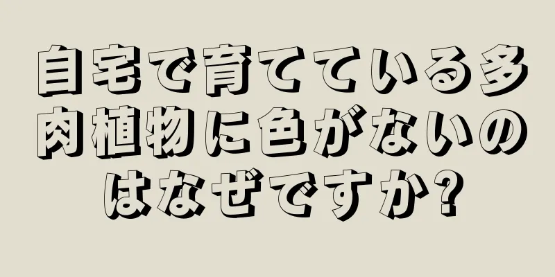 自宅で育てている多肉植物に色がないのはなぜですか?