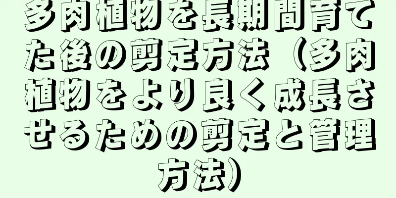 多肉植物を長期間育てた後の剪定方法（多肉植物をより良く成長させるための剪定と管理方法）