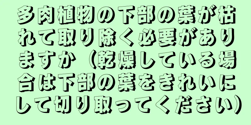 多肉植物の下部の葉が枯れて取り除く必要がありますか（乾燥している場合は下部の葉をきれいにして切り取ってください）