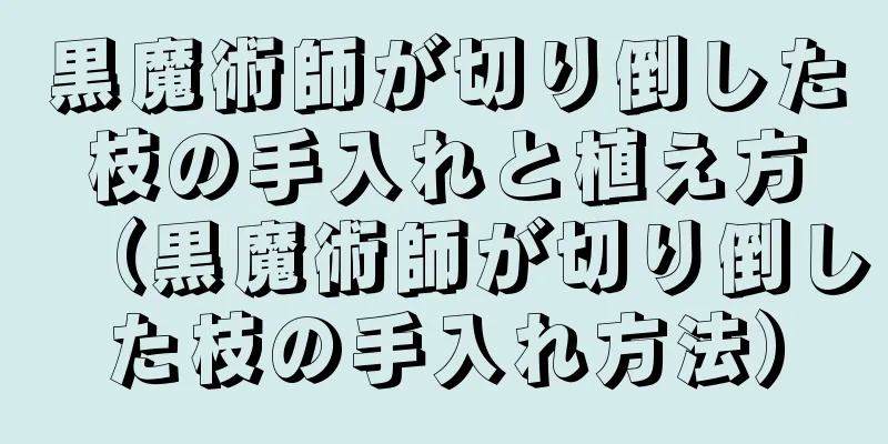 黒魔術師が切り倒した枝の手入れと植え方（黒魔術師が切り倒した枝の手入れ方法）