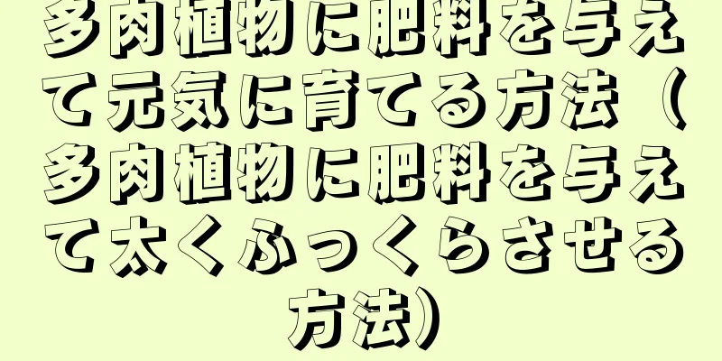多肉植物に肥料を与えて元気に育てる方法（多肉植物に肥料を与えて太くふっくらさせる方法）