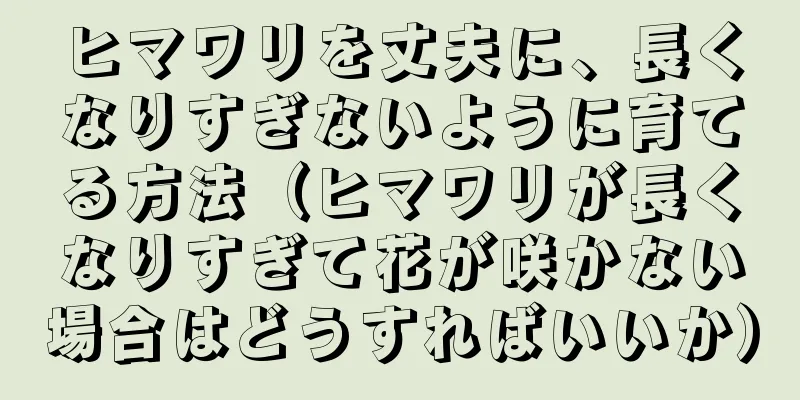 ヒマワリを丈夫に、長くなりすぎないように育てる方法（ヒマワリが長くなりすぎて花が咲かない場合はどうすればいいか）