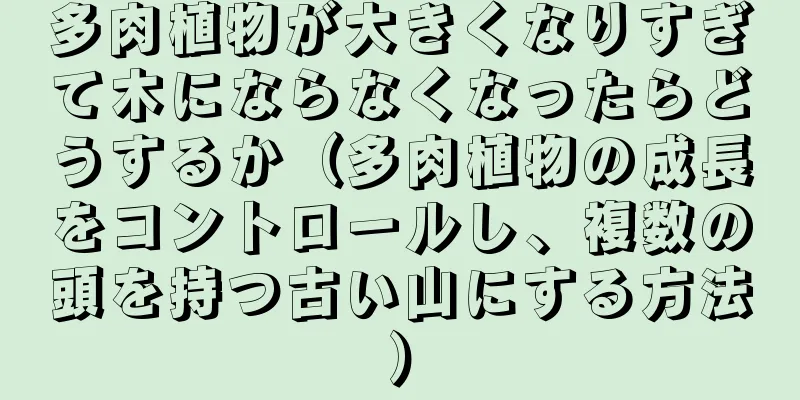 多肉植物が大きくなりすぎて木にならなくなったらどうするか（多肉植物の成長をコントロールし、複数の頭を持つ古い山にする方法）