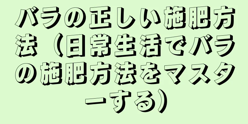 バラの正しい施肥方法（日常生活でバラの施肥方法をマスターする）