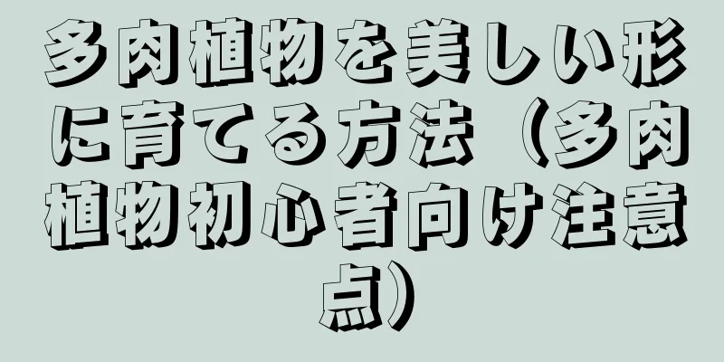 多肉植物を美しい形に育てる方法（多肉植物初心者向け注意点）