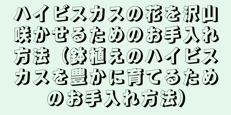 ハイビスカスの花を沢山咲かせるためのお手入れ方法（鉢植えのハイビスカスを豊かに育てるためのお手入れ方法）