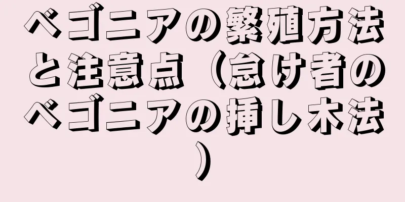 ベゴニアの繁殖方法と注意点（怠け者のベゴニアの挿し木法）