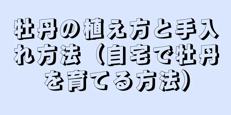 牡丹の植え方と手入れ方法（自宅で牡丹を育てる方法）