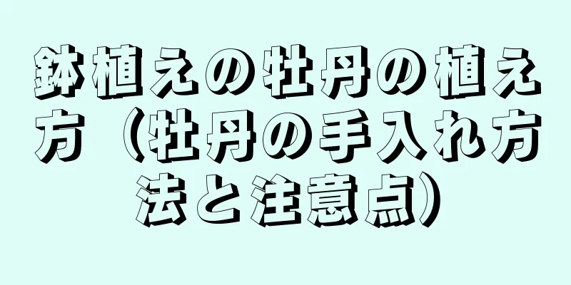 鉢植えの牡丹の植え方（牡丹の手入れ方法と注意点）