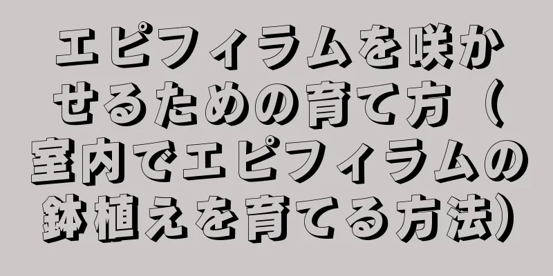 エピフィラムを咲かせるための育て方（室内でエピフィラムの鉢植えを育てる方法）