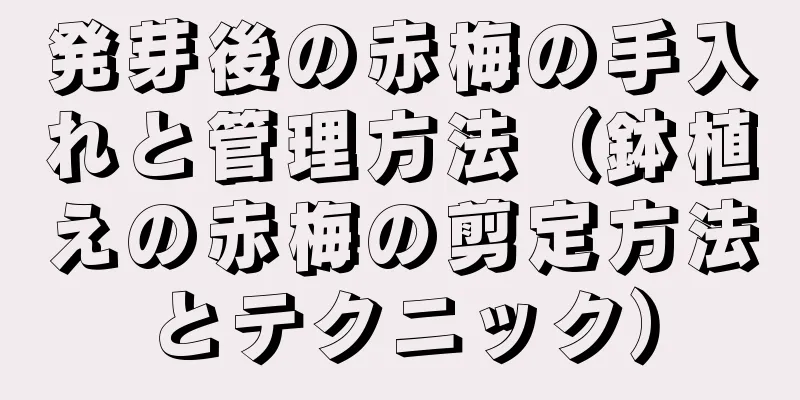 発芽後の赤梅の手入れと管理方法（鉢植えの赤梅の剪定方法とテクニック）