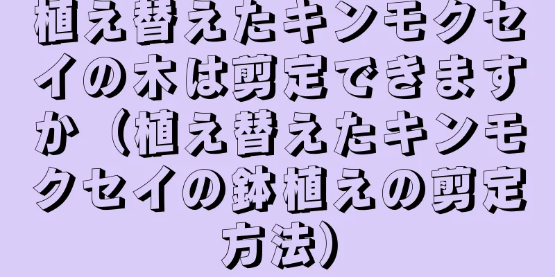 植え替えたキンモクセイの木は剪定できますか（植え替えたキンモクセイの鉢植えの剪定方法）