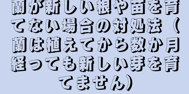 蘭が新しい根や苗を育てない場合の対処法（蘭は植えてから数か月経っても新しい芽を育てません）