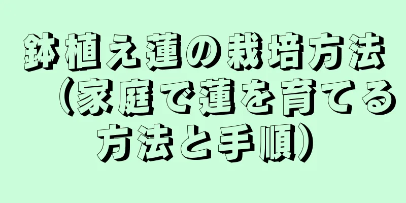 鉢植え蓮の栽培方法（家庭で蓮を育てる方法と手順）