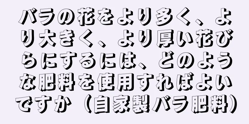バラの花をより多く、より大きく、より厚い花びらにするには、どのような肥料を使用すればよいですか（自家製バラ肥料）