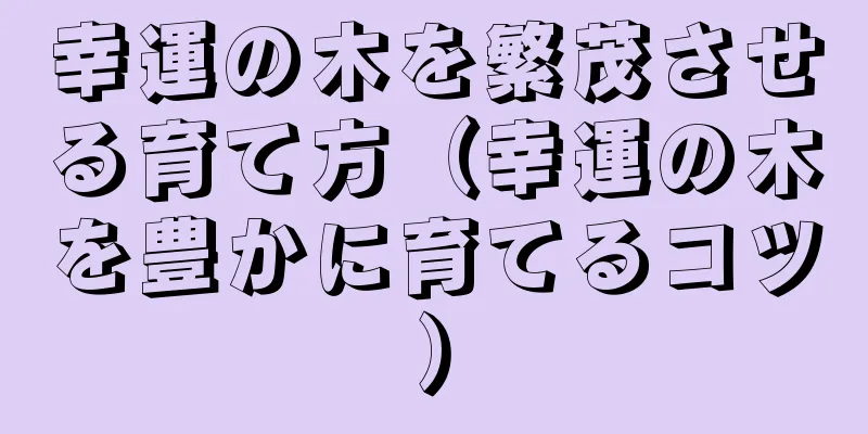 幸運の木を繁茂させる育て方（幸運の木を豊かに育てるコツ）