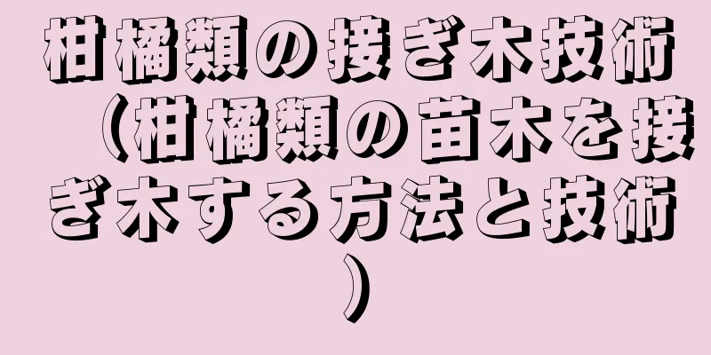 柑橘類の接ぎ木技術（柑橘類の苗木を接ぎ木する方法と技術）