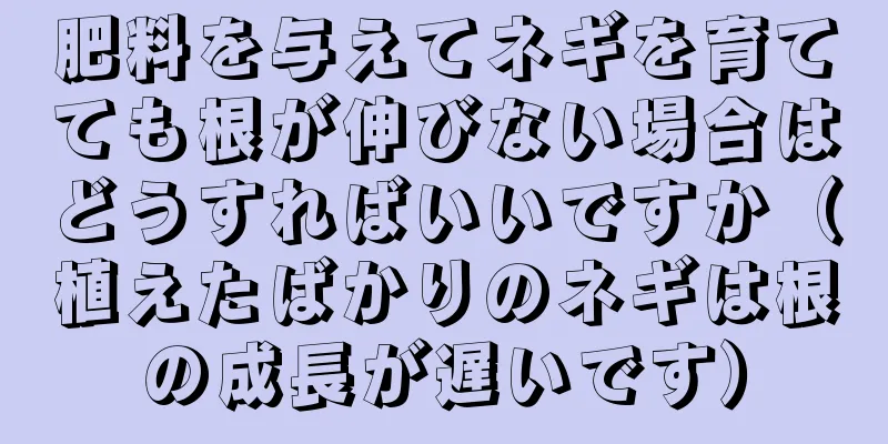 肥料を与えてネギを育てても根が伸びない場合はどうすればいいですか（植えたばかりのネギは根の成長が遅いです）