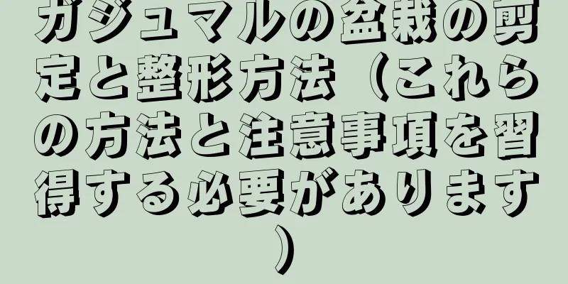 ガジュマルの盆栽の剪定と整形方法（これらの方法と注意事項を習得する必要があります）
