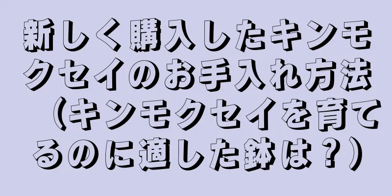 新しく購入したキンモクセイのお手入れ方法（キンモクセイを育てるのに適した鉢は？）