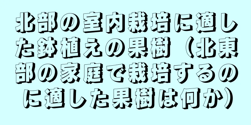 北部の室内栽培に適した鉢植えの果樹（北東部の家庭で栽培するのに適した果樹は何か）