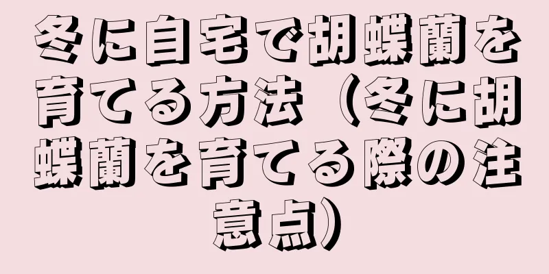冬に自宅で胡蝶蘭を育てる方法（冬に胡蝶蘭を育てる際の注意点）
