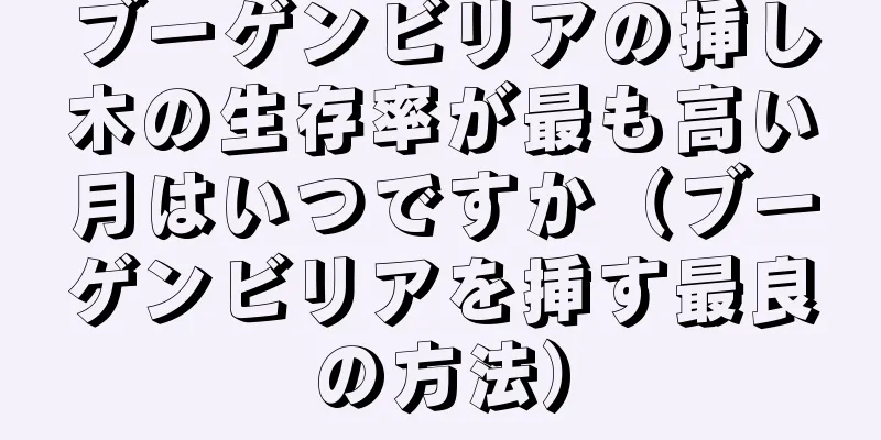 ブーゲンビリアの挿し木の生存率が最も高い月はいつですか（ブーゲンビリアを挿す最良の方法）