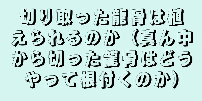 切り取った龍骨は植えられるのか（真ん中から切った龍骨はどうやって根付くのか）